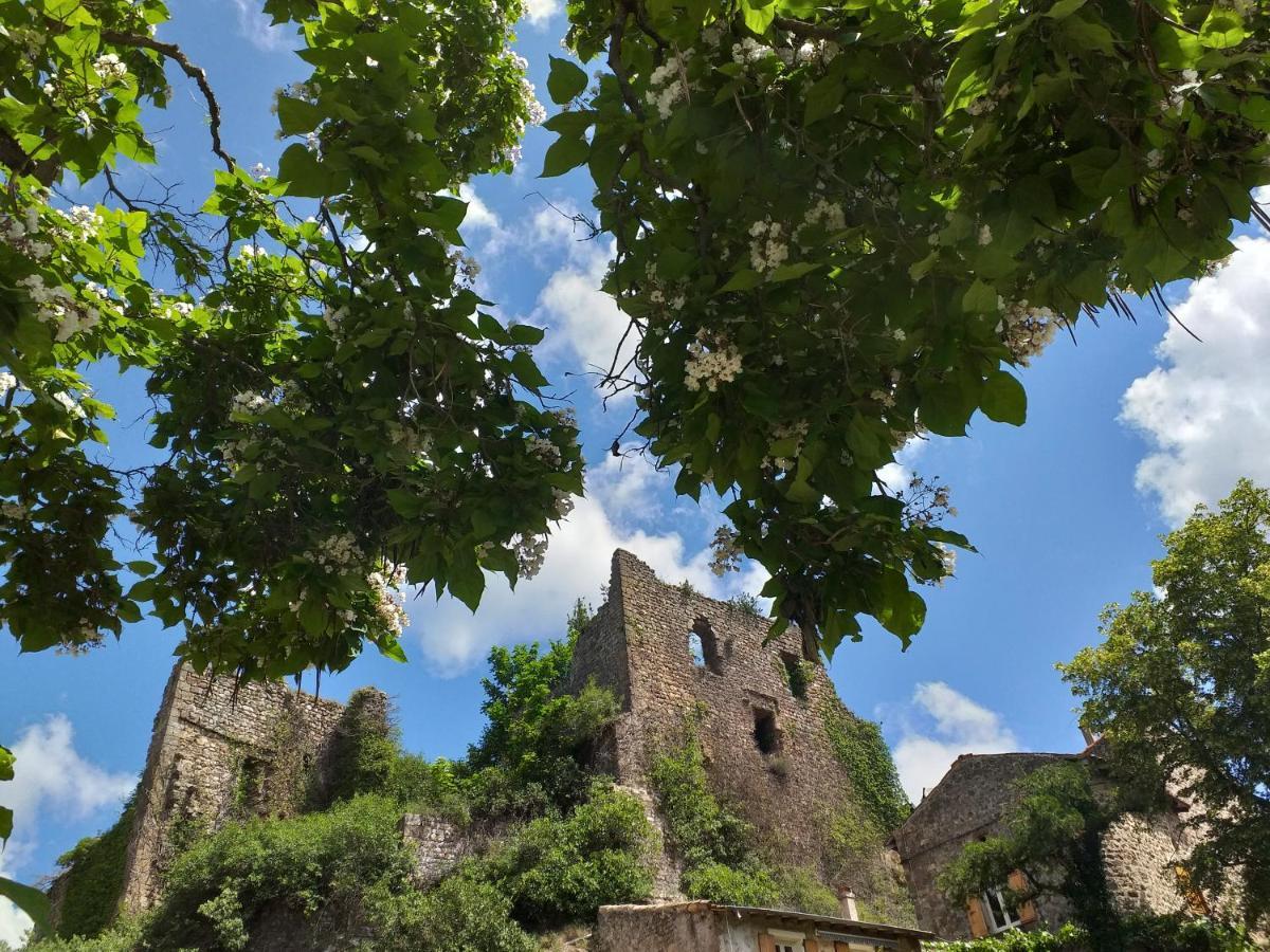 Les Pentes Du Chateau De Retourtour Lamastre Luaran gambar